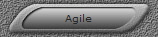 Agile