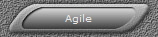 Agile